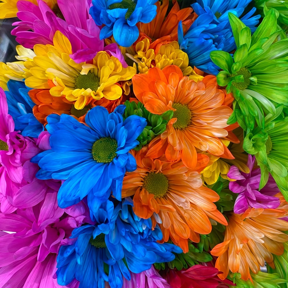 Meet your Posher, Lori